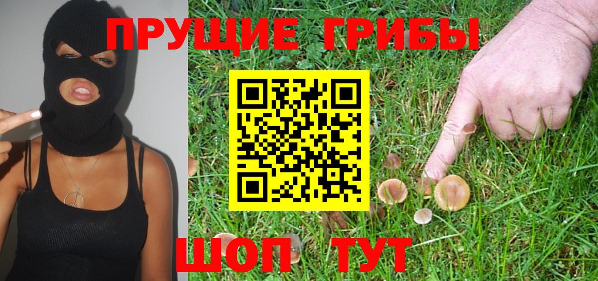 Галлюциногенные грибы GOLDEN TEACHER Обнинск