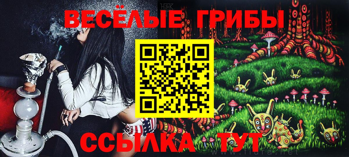 Псилоцибиновые грибы Cubensis  Вход с VPN  Обнинск 