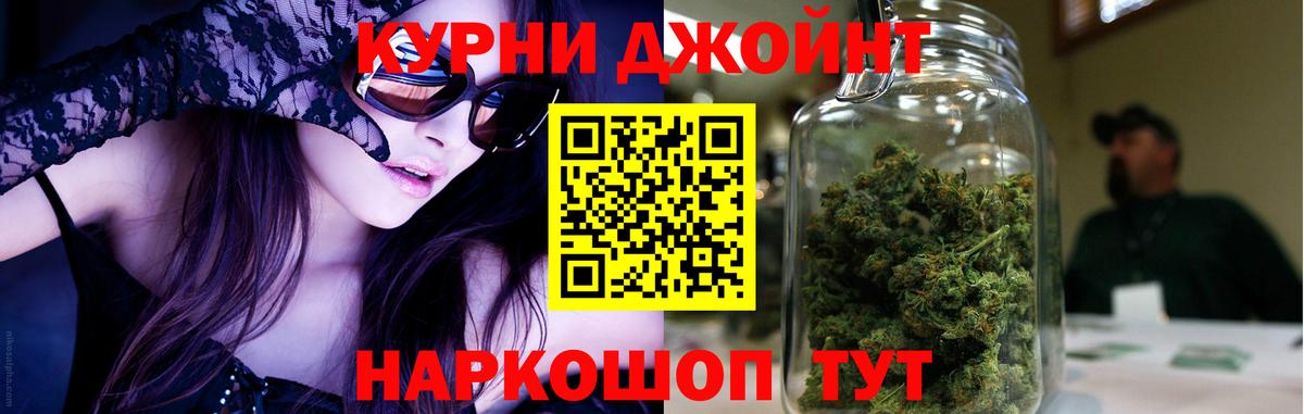 Бошки Шишки план Обнинск